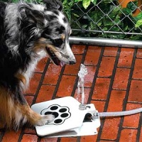 Питьевой фонтанчик для собак