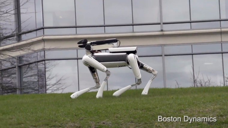 В Бостоне презентовали дружелюбного робота с глазами