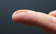 Польские ученые создали миниатюрного робота, копирующего движения гусеницы