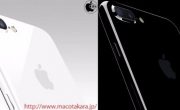 Может выйти дополнительная версия iPhone 7 в белом цвете