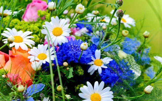 Доставка свежих цветов из Эквадора в Санкт-Петербурге