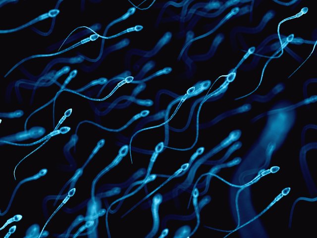 Исследователи используют сперму для доставки лекарств от рака в опухоли