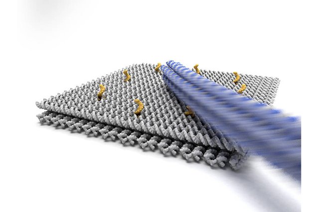 Ученые создали скоростной ДНК-наноробот