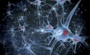 «Искусственный синапс» указывает путь к портативным устройствам ИИ