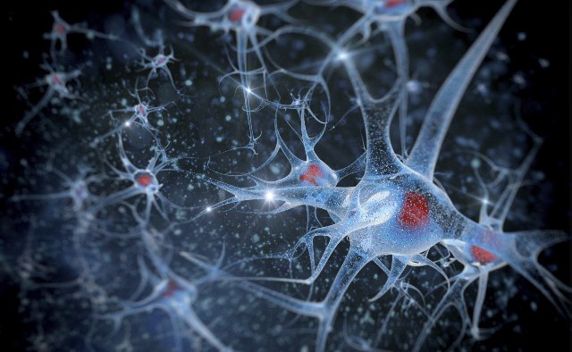 «Искусственный синапс» указывает путь к портативным устройствам ИИ