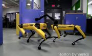 Роботы Boston Dynamics - самые вежливые «домашние животные»