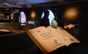 Посетите выставку британской библиотеки «Гарри Поттер» с вашего дивана