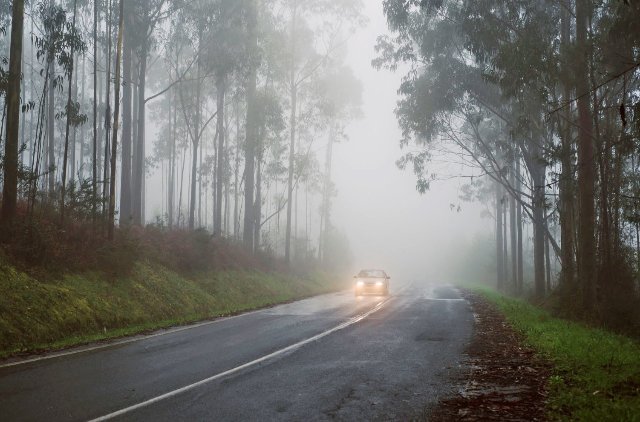 Автономные автомобили могут скоро лучше ориентироваться в тумане