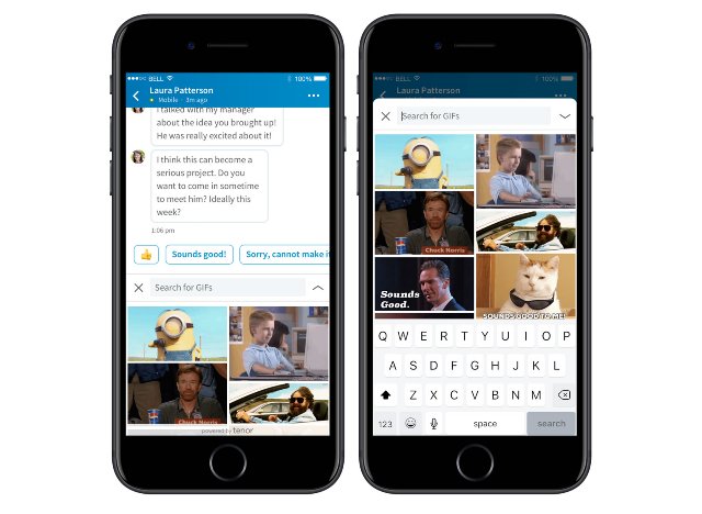 LinkedIn Messenger получает GIF для поиска работы
