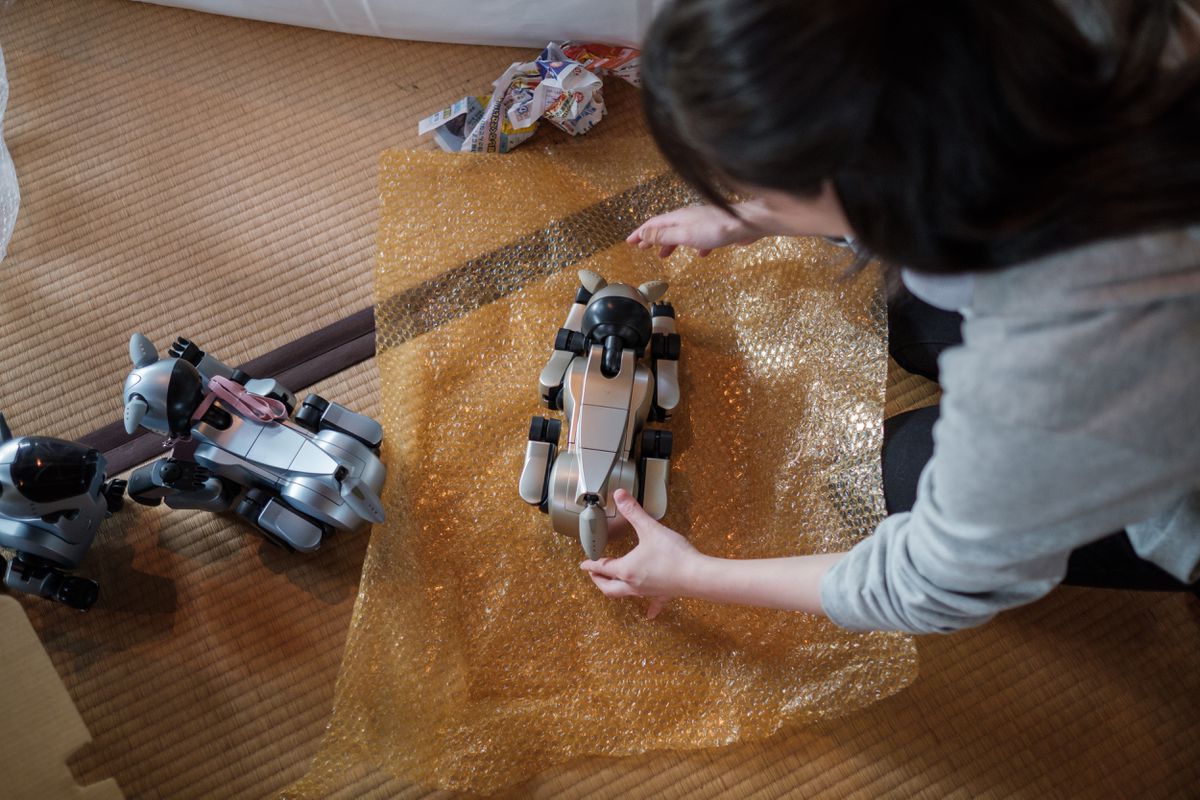 В Японии похоронили cобак-роботов Aibo