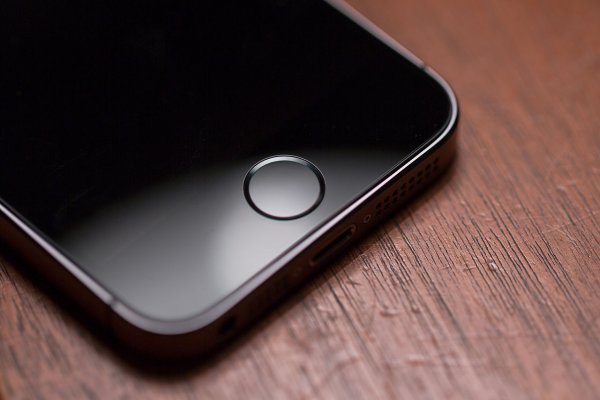 LG подписала с Apple контракт на поставку OLED-экранов для новых iPhone